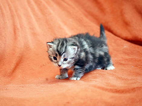 Tigger am 22. Mai 2022